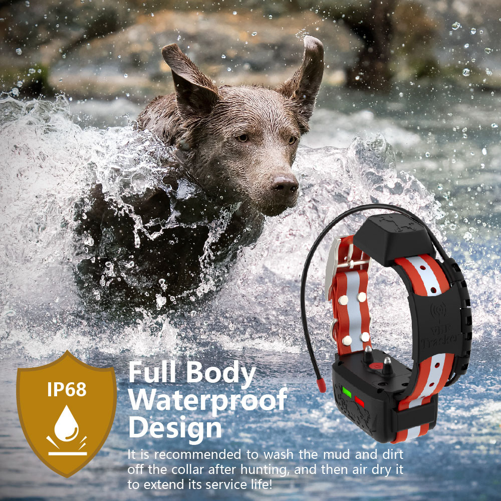 ESEEK – bezpośrednia dostawa z – Outdoor Hunting Dog Supply recenzja i cena